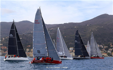 Regata velica