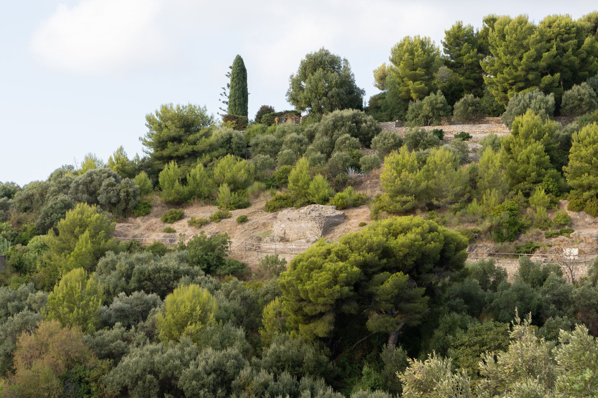 Veduta della necropoli